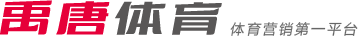 河南队的表
