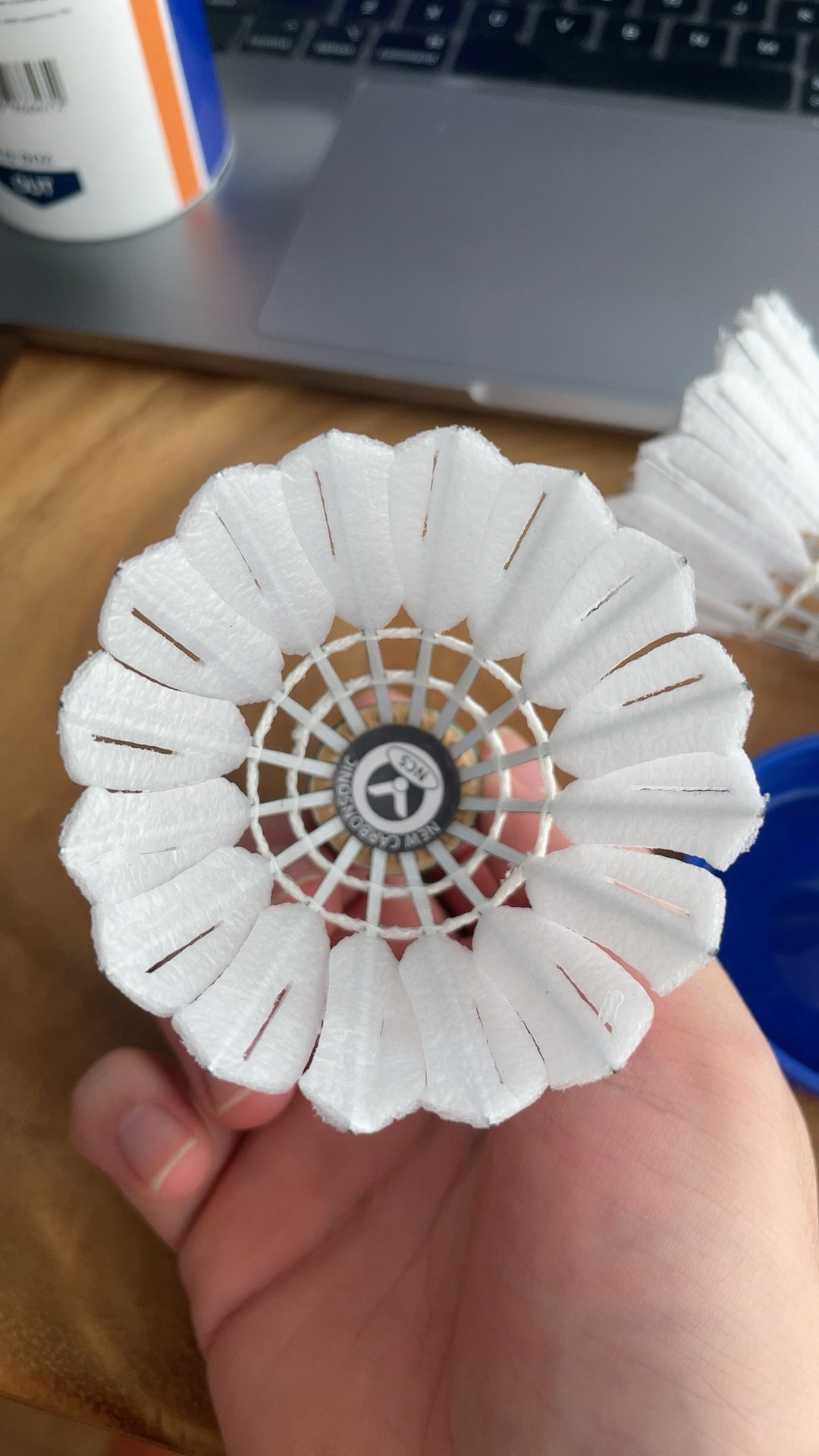 尤其是努涅 尤其是努涅