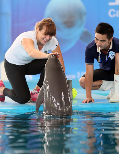 体育竞技不 体育竞技不